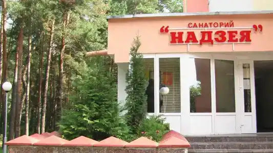 Надзея - 33