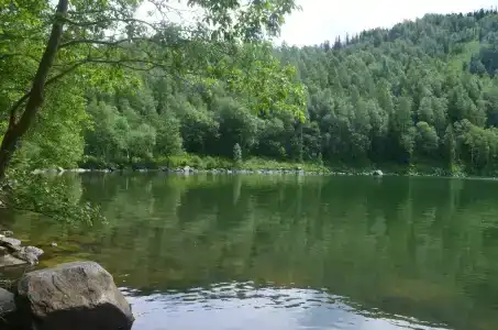 Лесная - 28