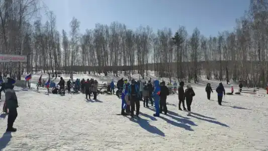 Берёзка - 13