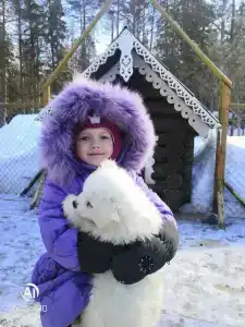 Высоковское - 34