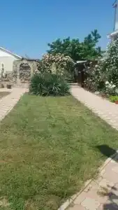Ess House - 7