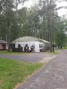 Берёзка - 9