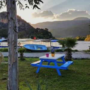 Portakal Dalyan - 45