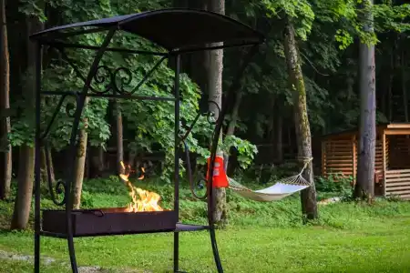 Приокские Зори - 43