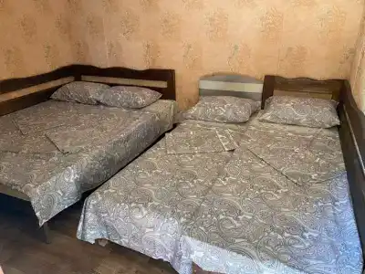 Зелёный остров - 12