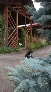 Медея - 4