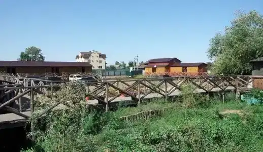 Олигри Фиш - 0