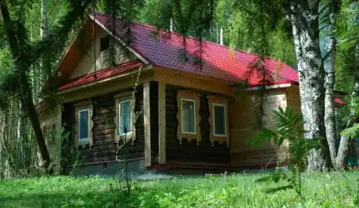 Подсолнухи - 4