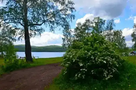 Линевский берег - 10