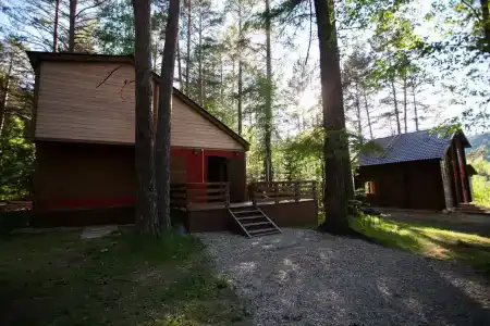 Брусника - 4