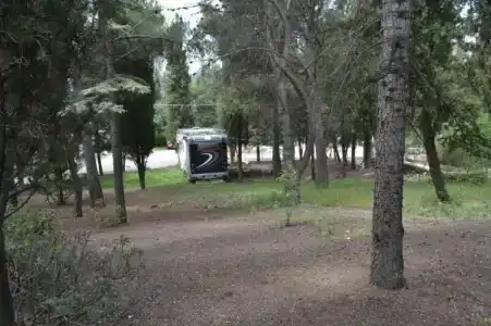 В гостях у Джокера - 15