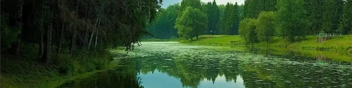 Родник - 0