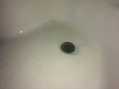 Феникс - 6