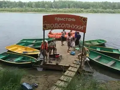 Подсолнухи - 40