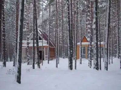 Дивная усадьба - 6
