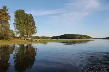Белые Росы - 9