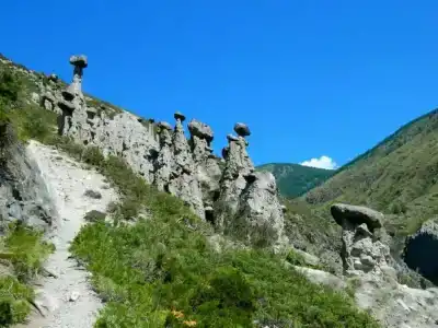 Каменные грибы - 0