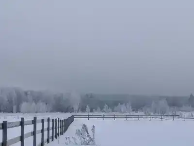 ПолеДом - 20