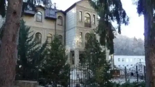 Фаворит - 22
