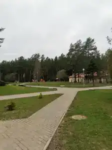 Пралеска - 14