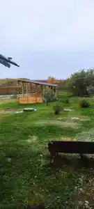 Живое - 39