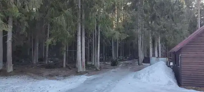 Динамо - 38