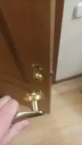 Роза Ветров - 35