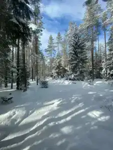 Морошка Эко Вилладж - 5