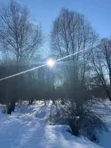 Семеновское - 35