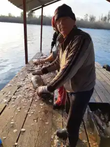 Теремок - 29