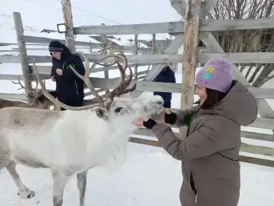 Олений Двор - 10