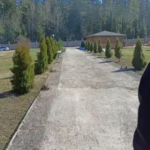 Сосновый - 39