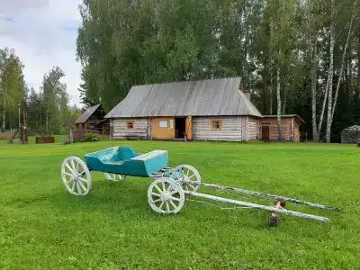 Янов хутор - 28