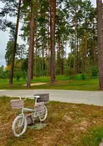 Славянка - 63