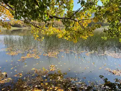 Скелепарк - 18