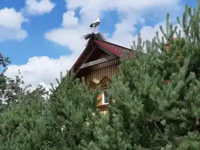 Эко Суздаль Inn - 62