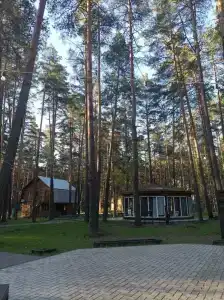 Сосновый бор - 88