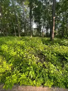Приморье - 60