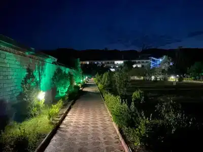 Электра Холидей - 14