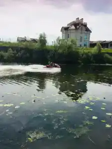 Островок - 8