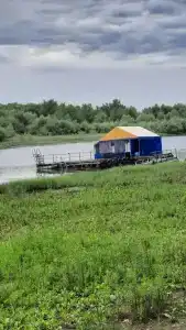 Зеленые ворота - 20