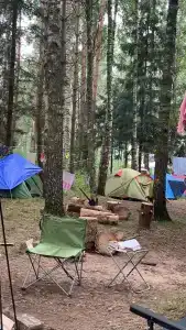 Белое озеро - 65