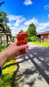 Олений Двор - 7