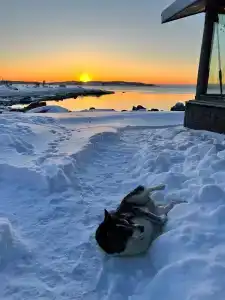 Кедр Грасс Белое Море - 52