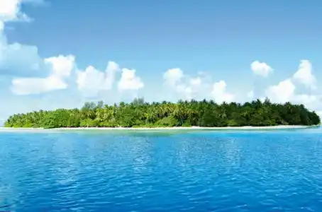Biyadhoo Island Resort - 17