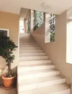 Кокос - 7