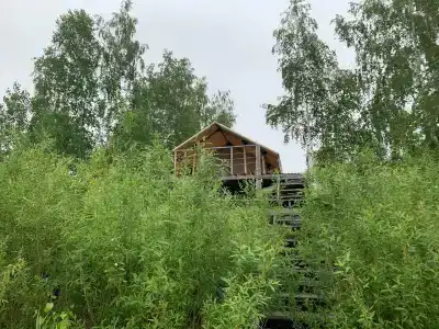 Зелёный остров - 39