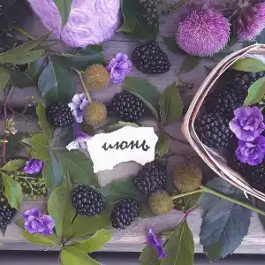 Белый Лотос - 98