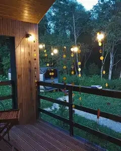 Хвойный Лес - 96