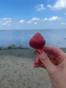 Майами - 41